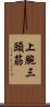 上腕三頭筋 Scroll