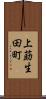 上莇生田町 Scroll