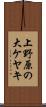 上野原の大ケヤキ Scroll