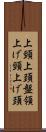 上頸 Scroll