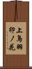 上鳥羽卯ノ花 Scroll