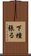 下種張る Scroll