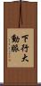 下行大動脈 Scroll