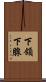 下頜下腺 Scroll