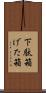 下駄箱 Scroll