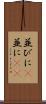 並びに(P) Scroll