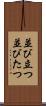 並び立つ Scroll