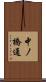 中ノ橋通 Scroll