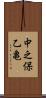 中之保乙亀 Scroll