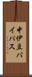中伊豆バイパス Scroll