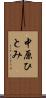中原ひとみ Scroll
