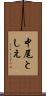 中尾としえ Scroll