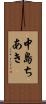 中島ちあき Scroll