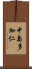 中島多加仁 Scroll
