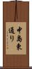 中島東通り Scroll