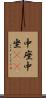中座 Scroll
