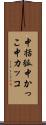 中括弧 Scroll
