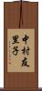 中村友里子 Scroll