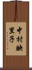 中村映里子 Scroll