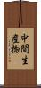 中間生産物 Scroll