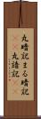 丸暗記 Scroll