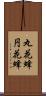 丸花蜂 Scroll