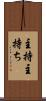 主持 Scroll