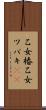 乙女椿 Scroll