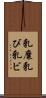 乳糜 Scroll