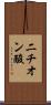 二チオン酸 Scroll
