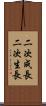 二次成長 Scroll