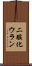 二酸化ウラン Scroll