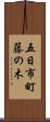 五日市町藤の木 Scroll