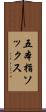 五本指ソックス Scroll