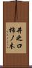 井之口柿ノ木 Scroll