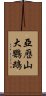 亞歷山大鸚鵡 Scroll