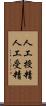人工授精 Scroll