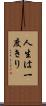人生は一度きり Scroll