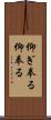 仰ぎ奉る Scroll