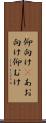 仰向け(P) Scroll