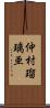 仲村瑠璃亜 Scroll