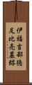 伊福吉部徳足比売墓跡 Scroll