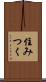 住みつく Scroll