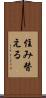 住み替える Scroll