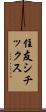 住友シチックス Scroll