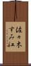 佐々木すみ江 Scroll
