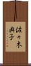 佐々木典子 Scroll