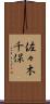 佐々木千保 Scroll
