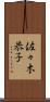 佐々木恭子 Scroll