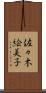 佐々木絵美子 Scroll